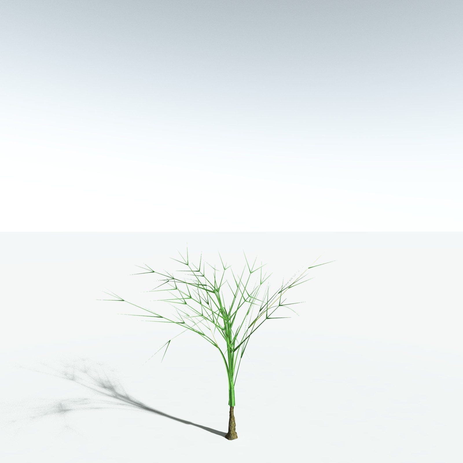 EVERYPlant Pseudosporochnus Verticillatus for Vue by N/A