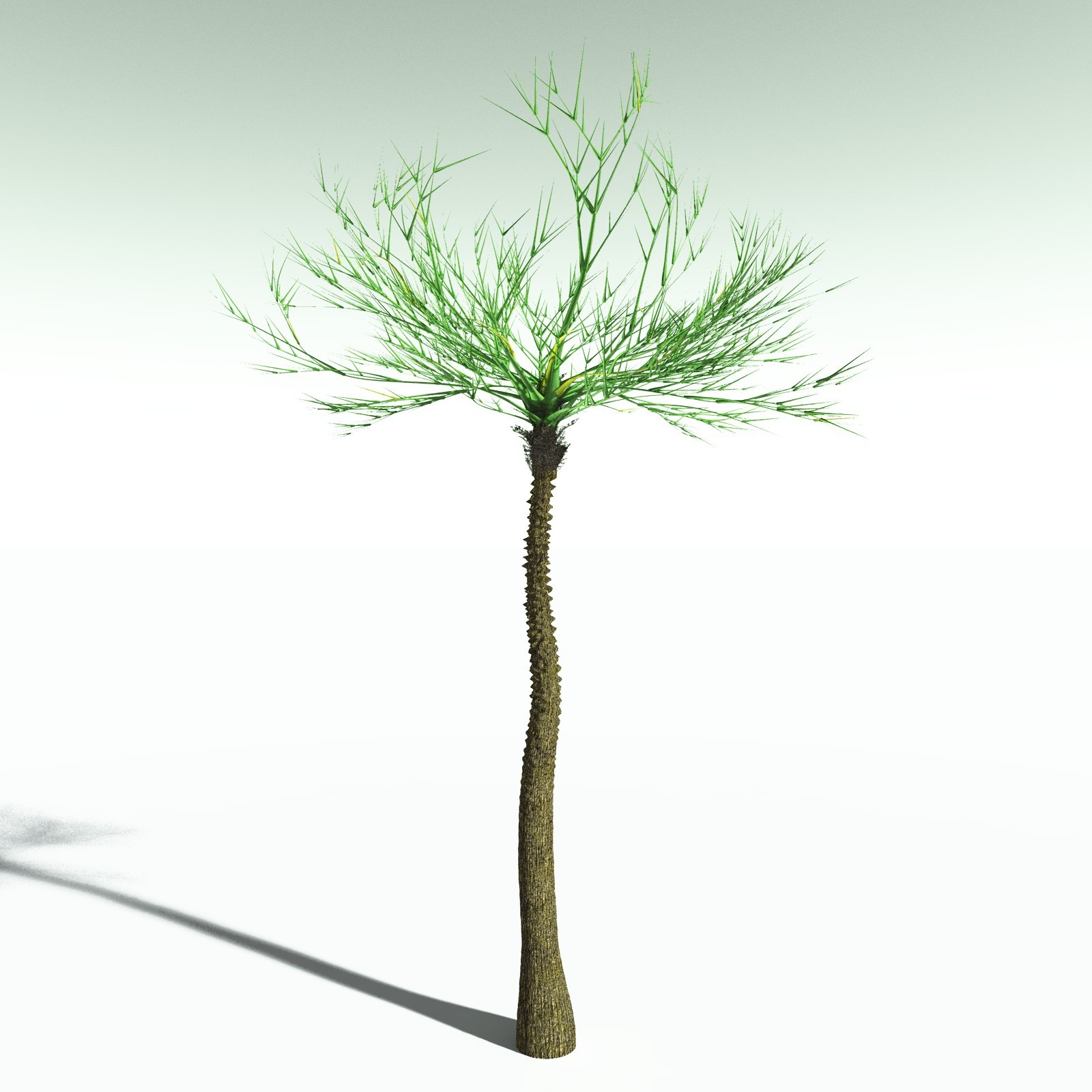 EVERYPlant Pseudosporochnus Verticillatus for Poser by N/A