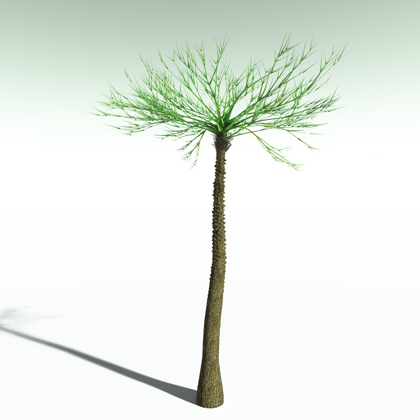 EVERYPlant Pseudosporochnus Verticillatus for Poser by N/A