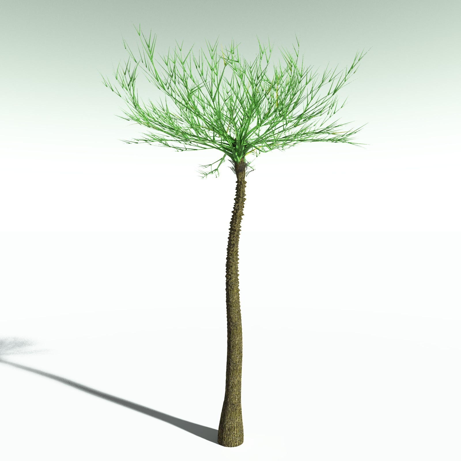 EVERYPlant Pseudosporochnus Verticillatus for Poser by N/A