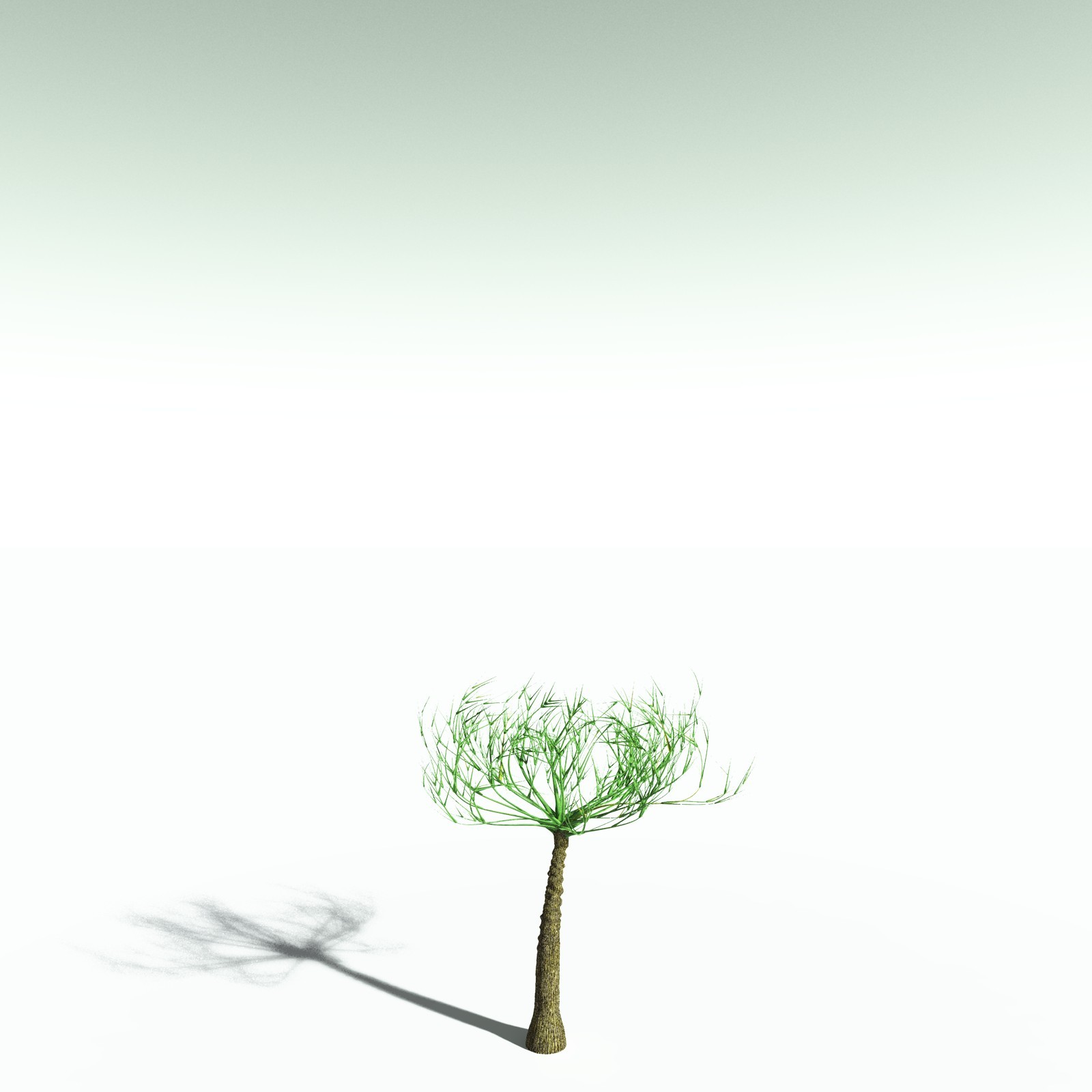EVERYPlant Pseudosporochnus Verticillatus for Poser by N/A