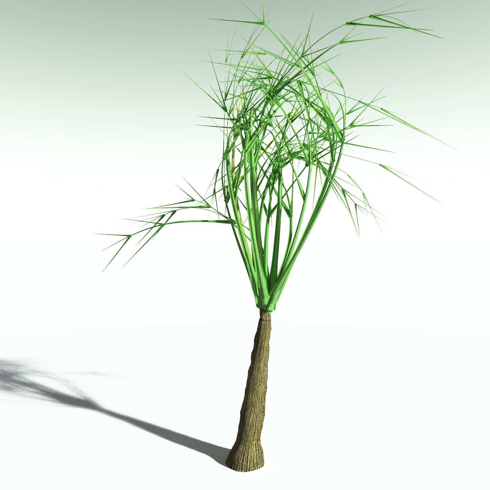EVERYPlant Pseudosporochnus Verticillatus for Poser by N/A