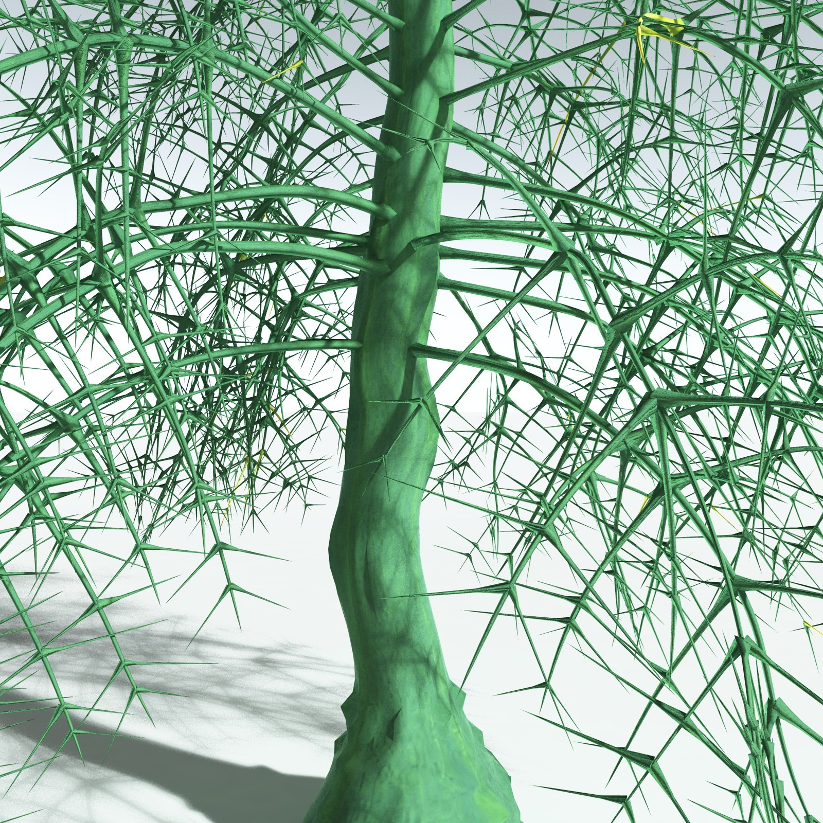 EVERYPlant Rhacophyton Condrusorum for Vue by N/A