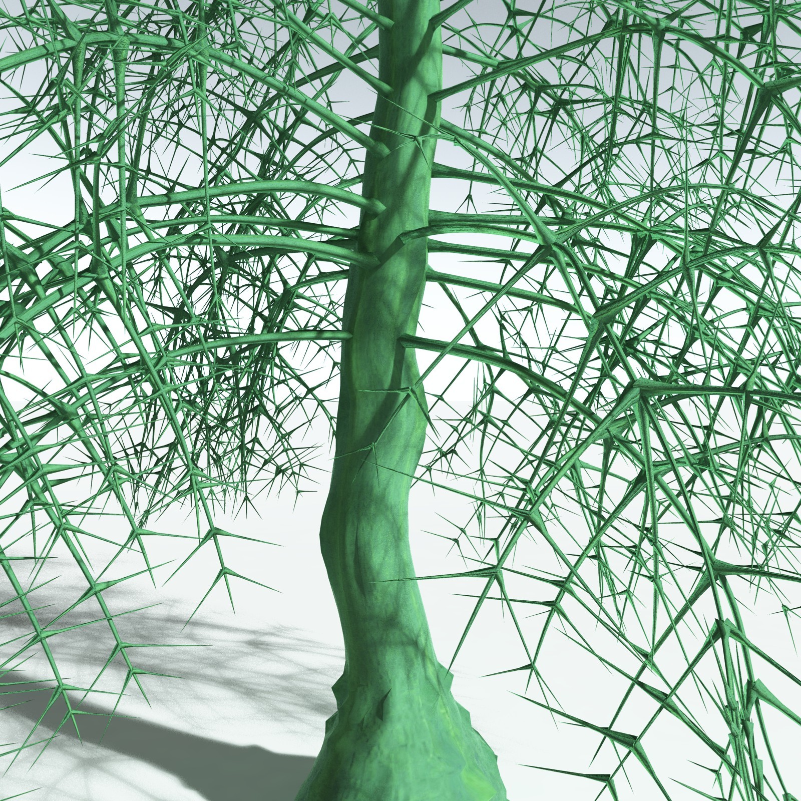 EVERYPlant Rhacophyton Condrusorum for Vue by N/A
