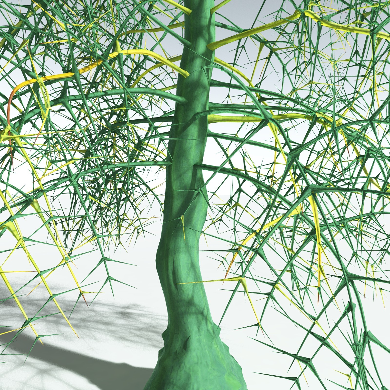 EVERYPlant Rhacophyton Condrusorum for Vue by N/A