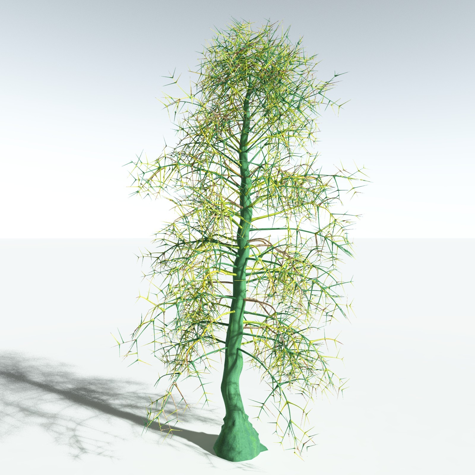 EVERYPlant Rhacophyton Condrusorum for Vue by N/A