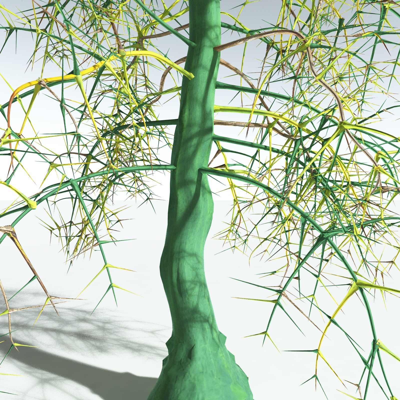 EVERYPlant Rhacophyton Condrusorum for Vue by N/A