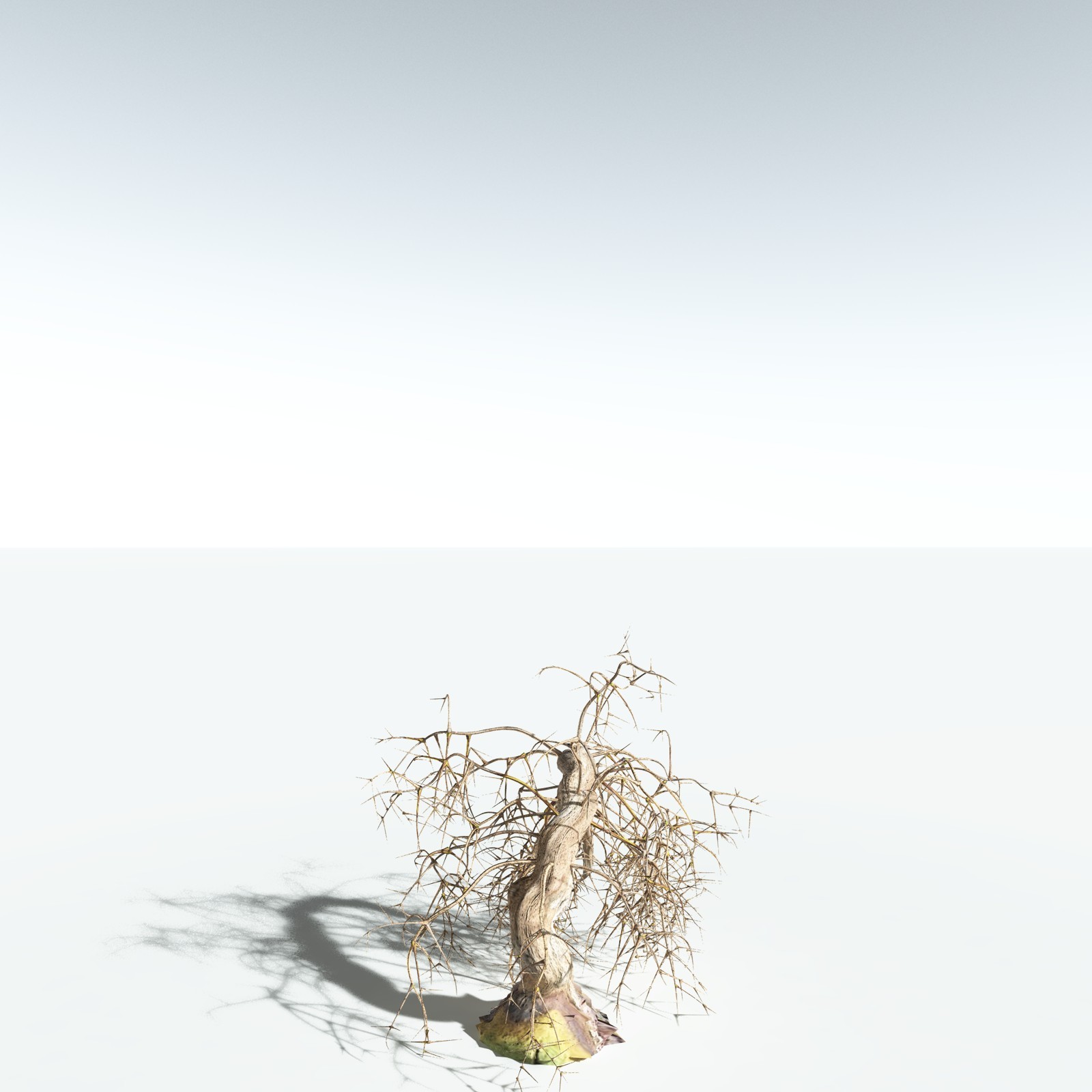 EVERYPlant Rhacophyton Condrusorum for Vue by N/A