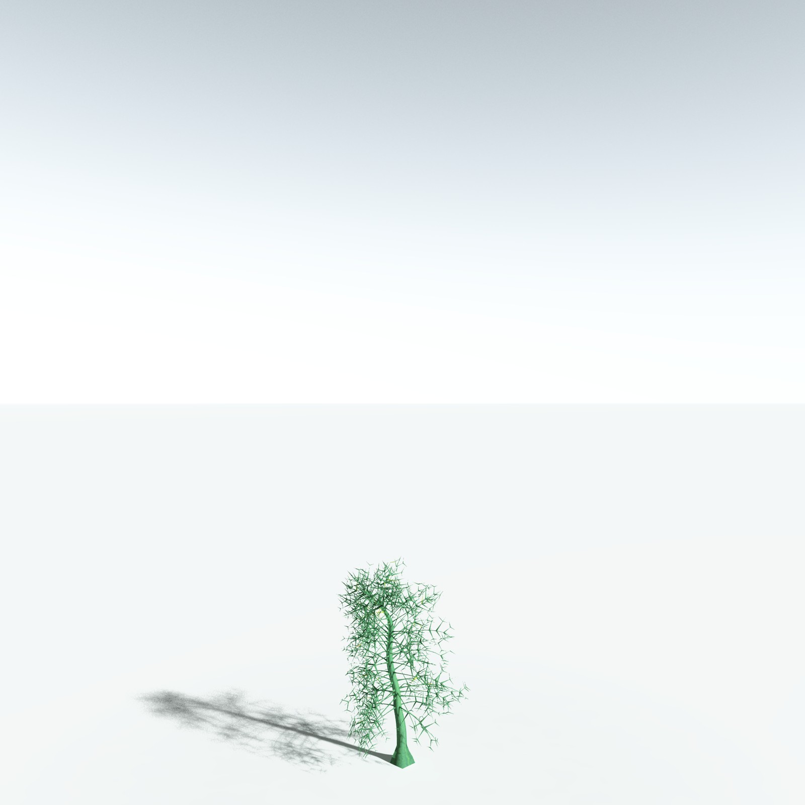 EVERYPlant Rhacophyton Condrusorum for Vue by N/A