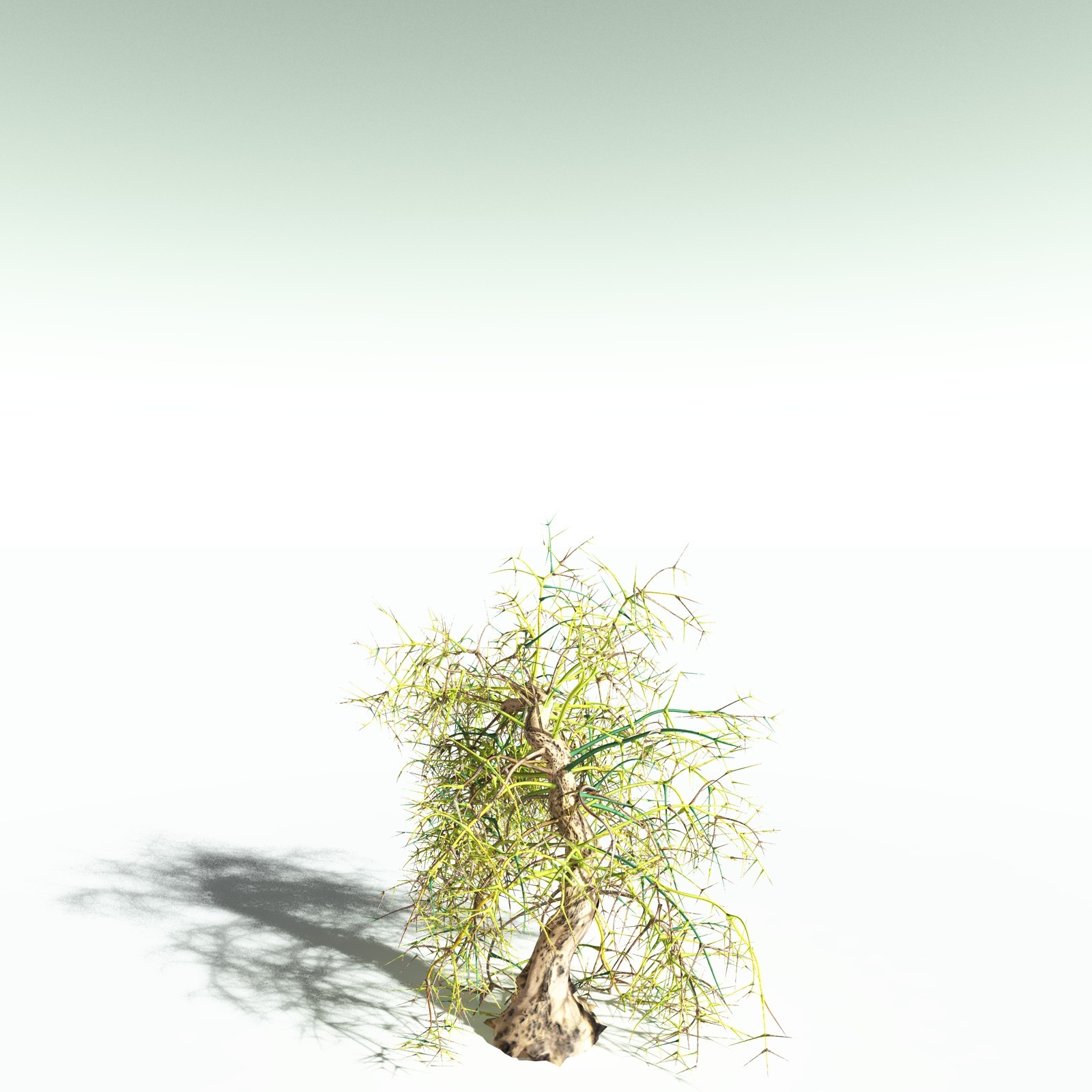 EVERYPlant Rhacophyton Condrusorum for Poser by N/A