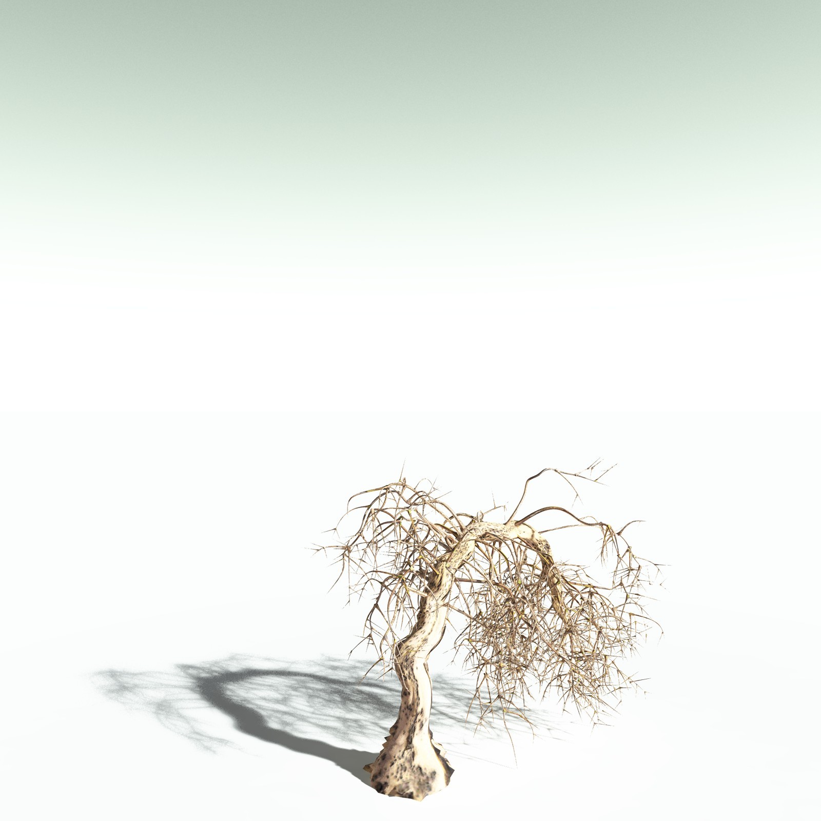 EVERYPlant Rhacophyton Condrusorum for Poser by N/A