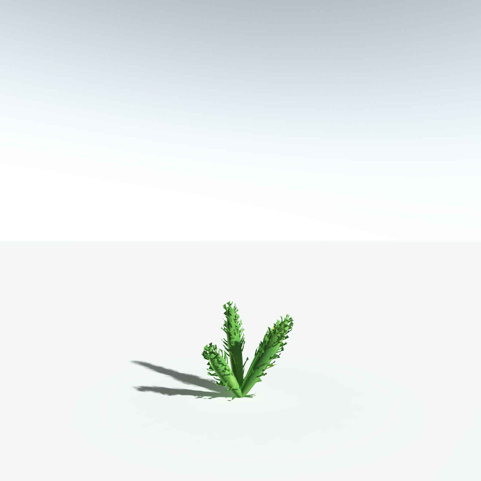EVERYPlant Discalis Longistipia for Vue by N/A