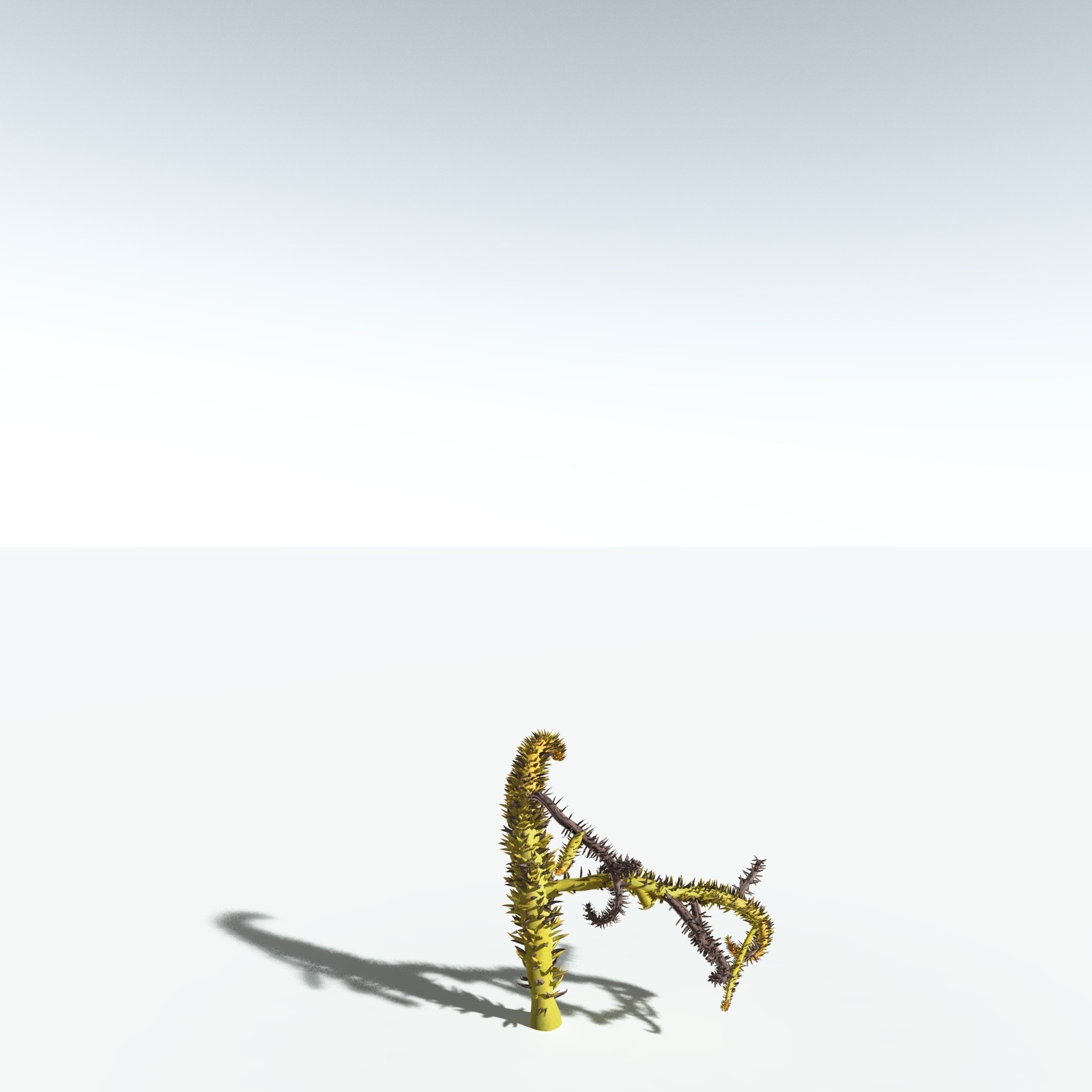 EVERYPlant Drepanophycus Spinaeformis for Vue by N/A