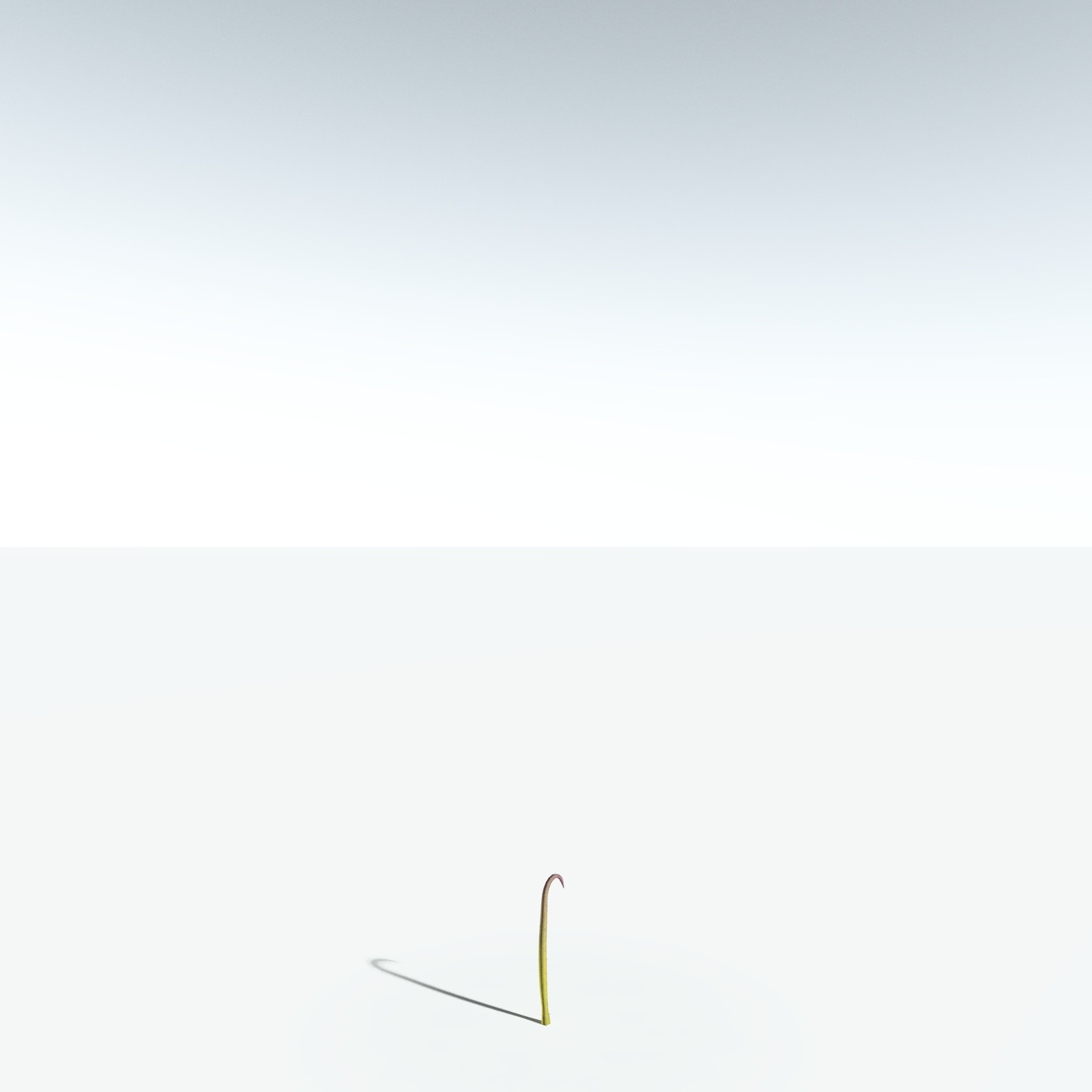 EVERYPlant Drepanophycus Spinaeformis for Vue by N/A