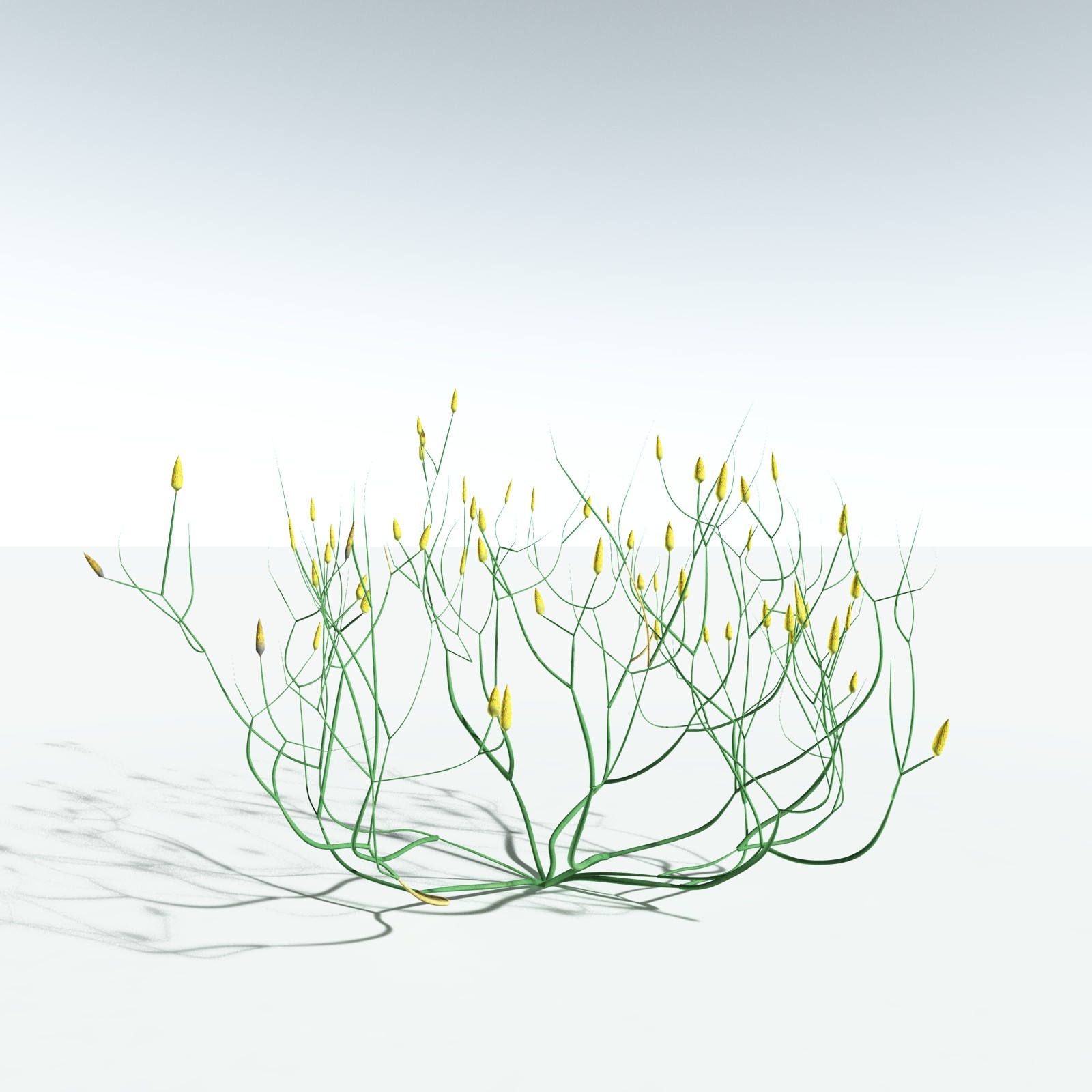 EVERYPlant Devonian Biome for Vue by N/A