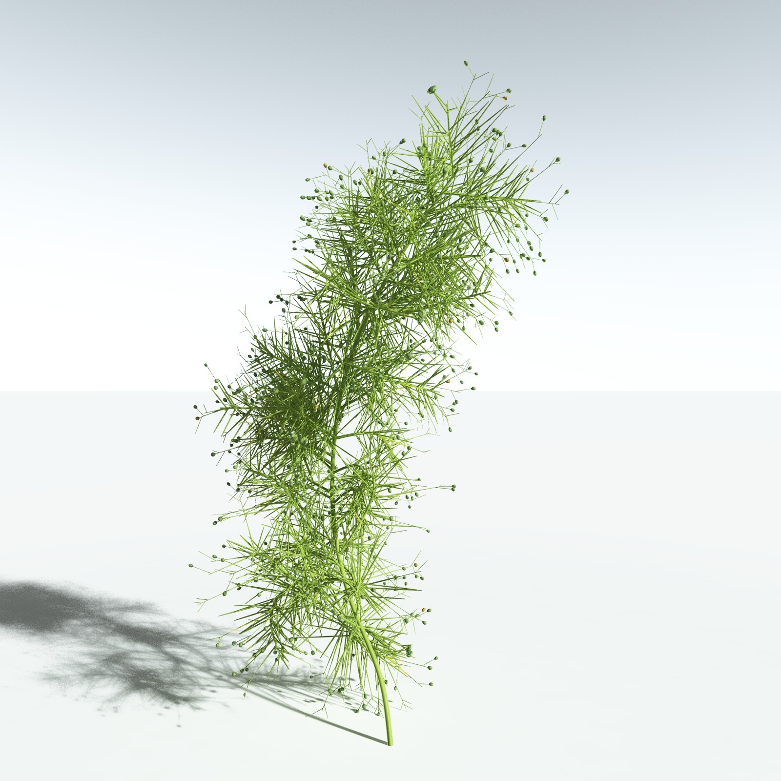 EVERYPlant Devonian Biome for Vue by N/A