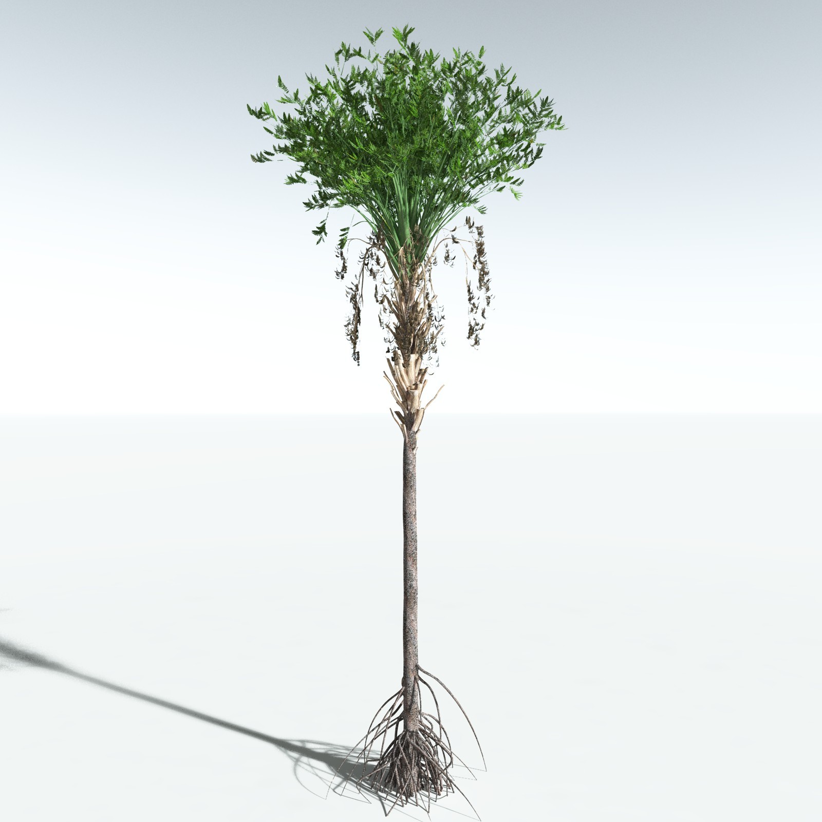 EVERYPlant Devonian Biome for Vue by N/A