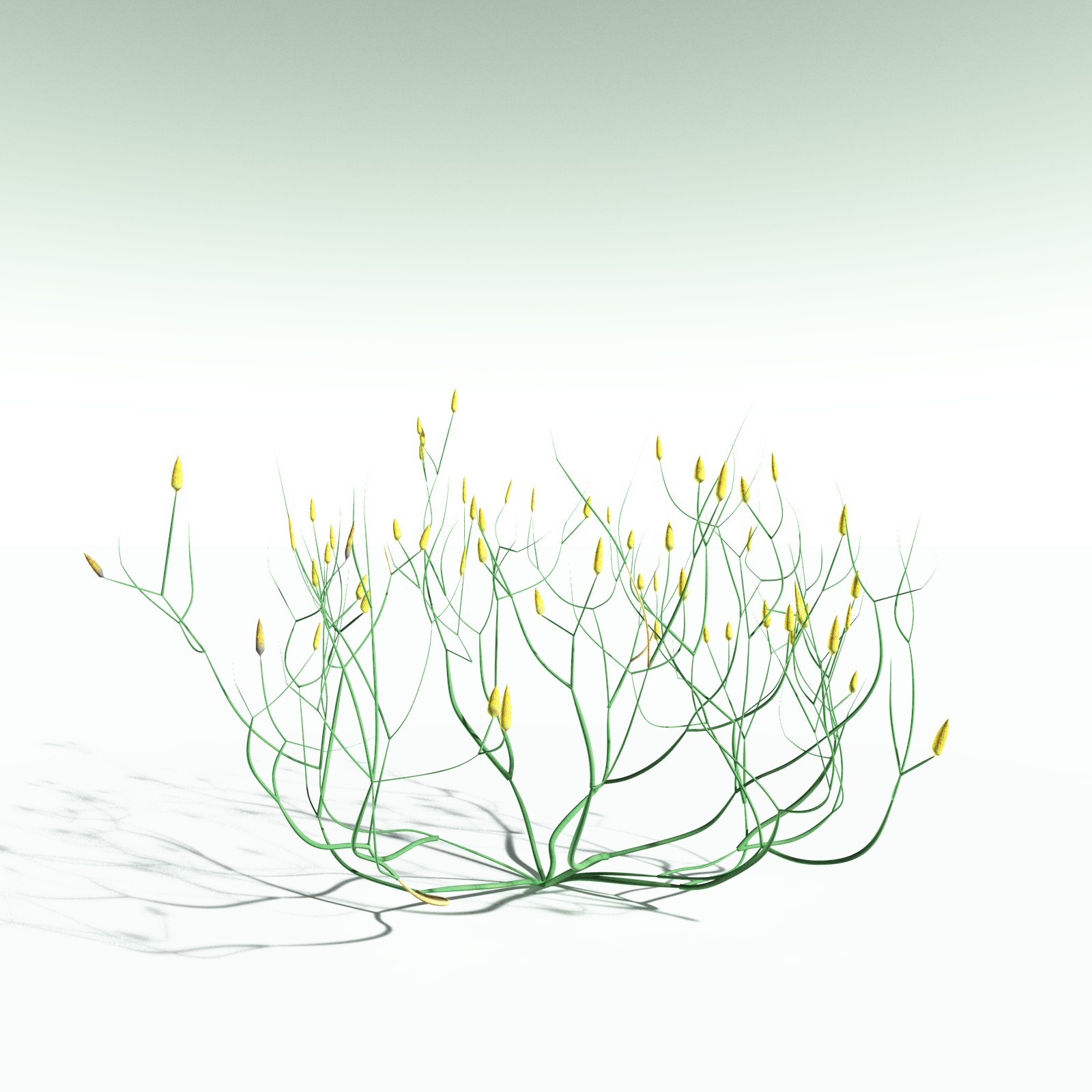 EVERYPlant Devonian Biome for Poser by N/A