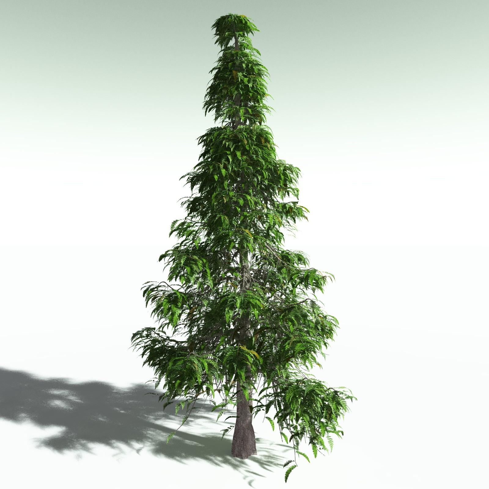 EVERYPlant Devonian Biome for Poser by N/A