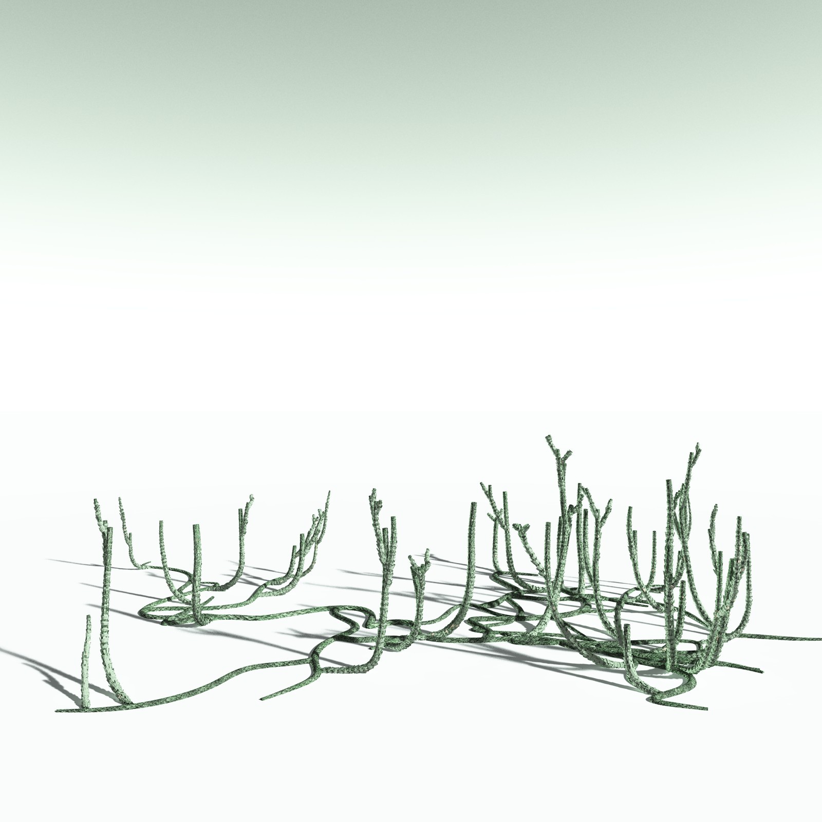 EVERYPlant Devonian Biome for Poser by N/A