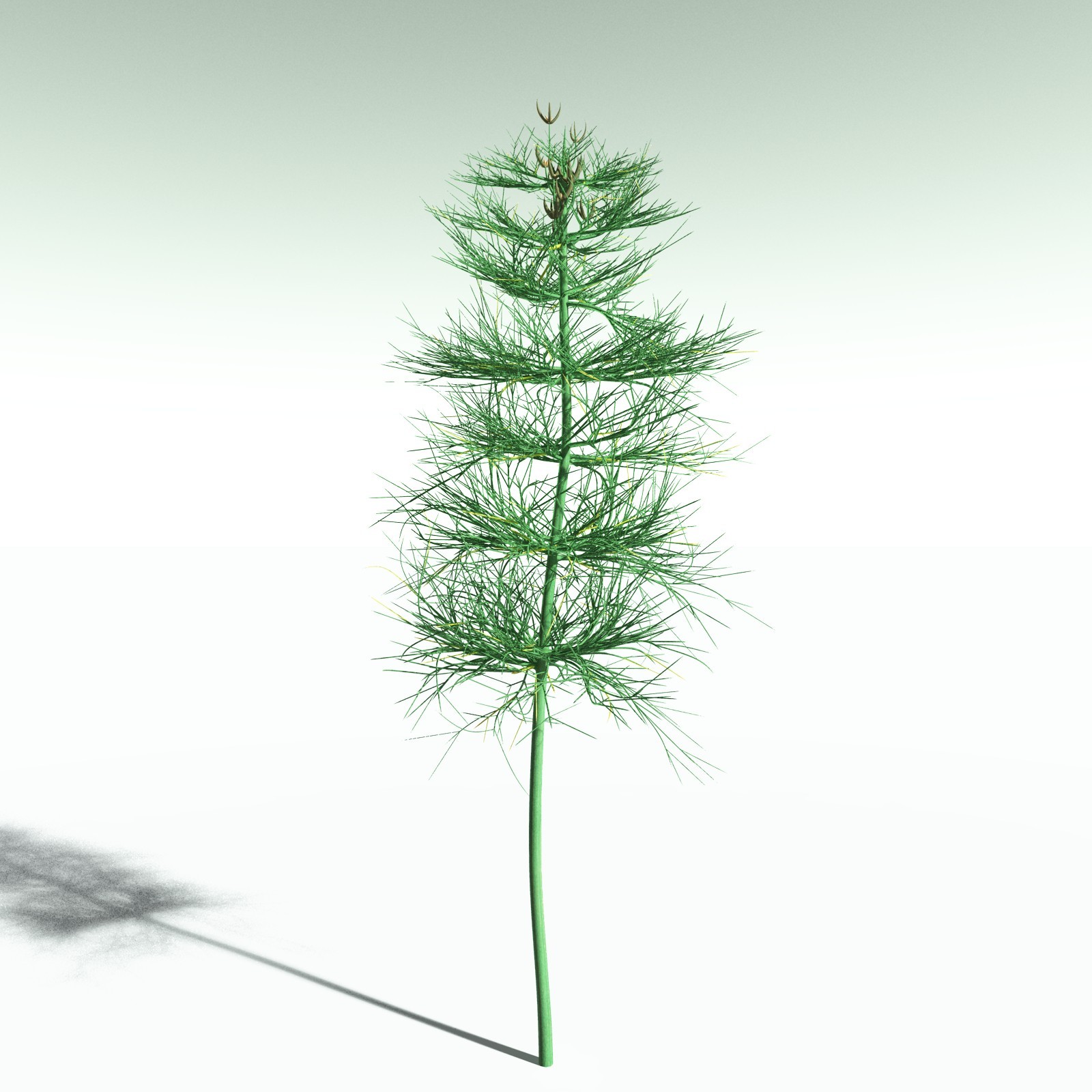 EVERYPlant Devonian Biome for Poser by N/A