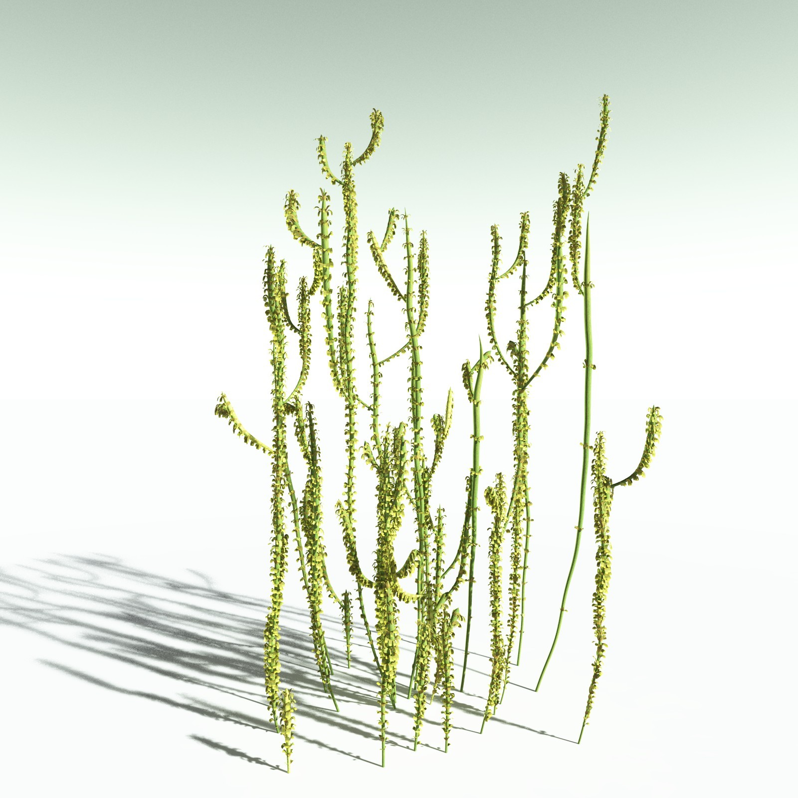 EVERYPlant Devonian Biome for Poser by N/A