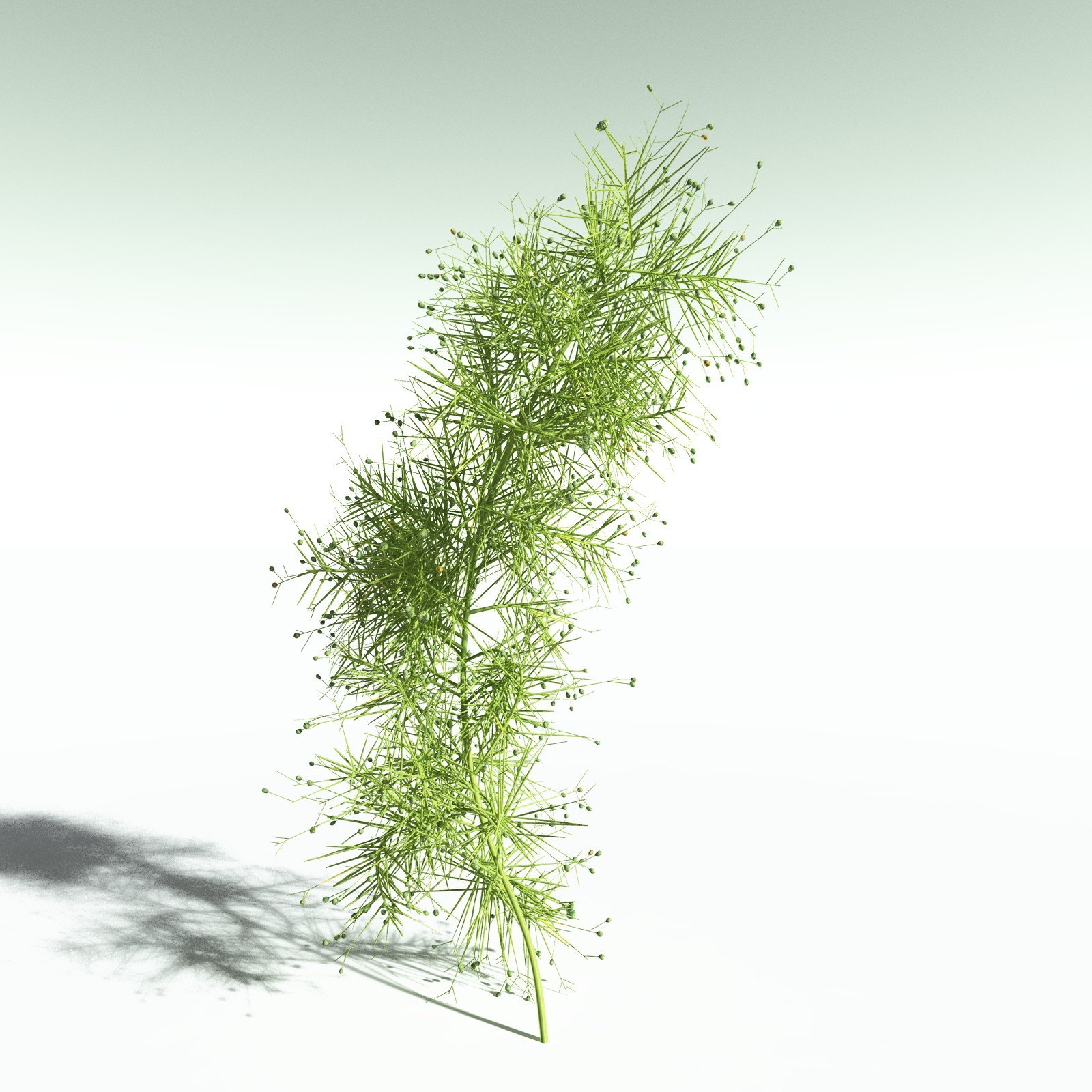 EVERYPlant Devonian Biome for Poser by N/A