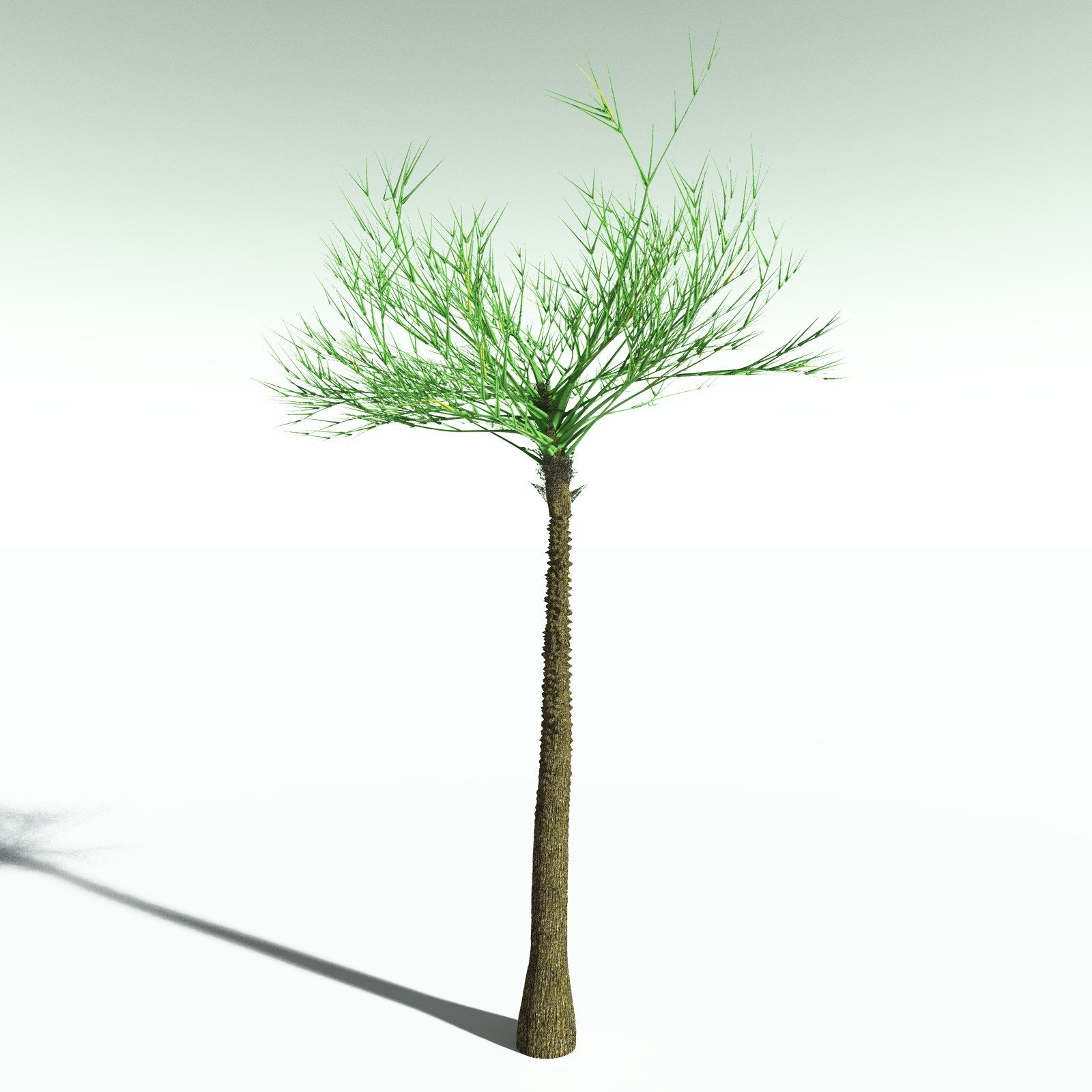 EVERYPlant Devonian Biome for Poser by N/A