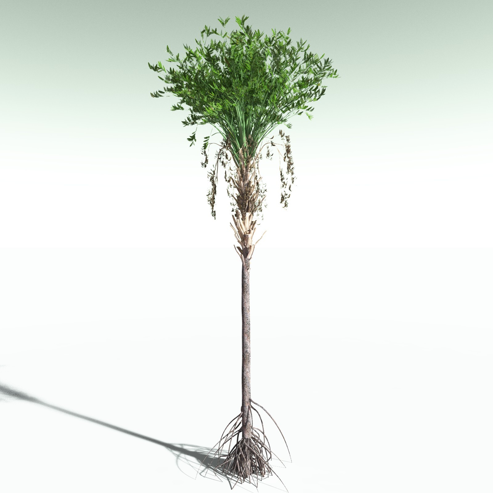 EVERYPlant Devonian Biome for Poser by N/A