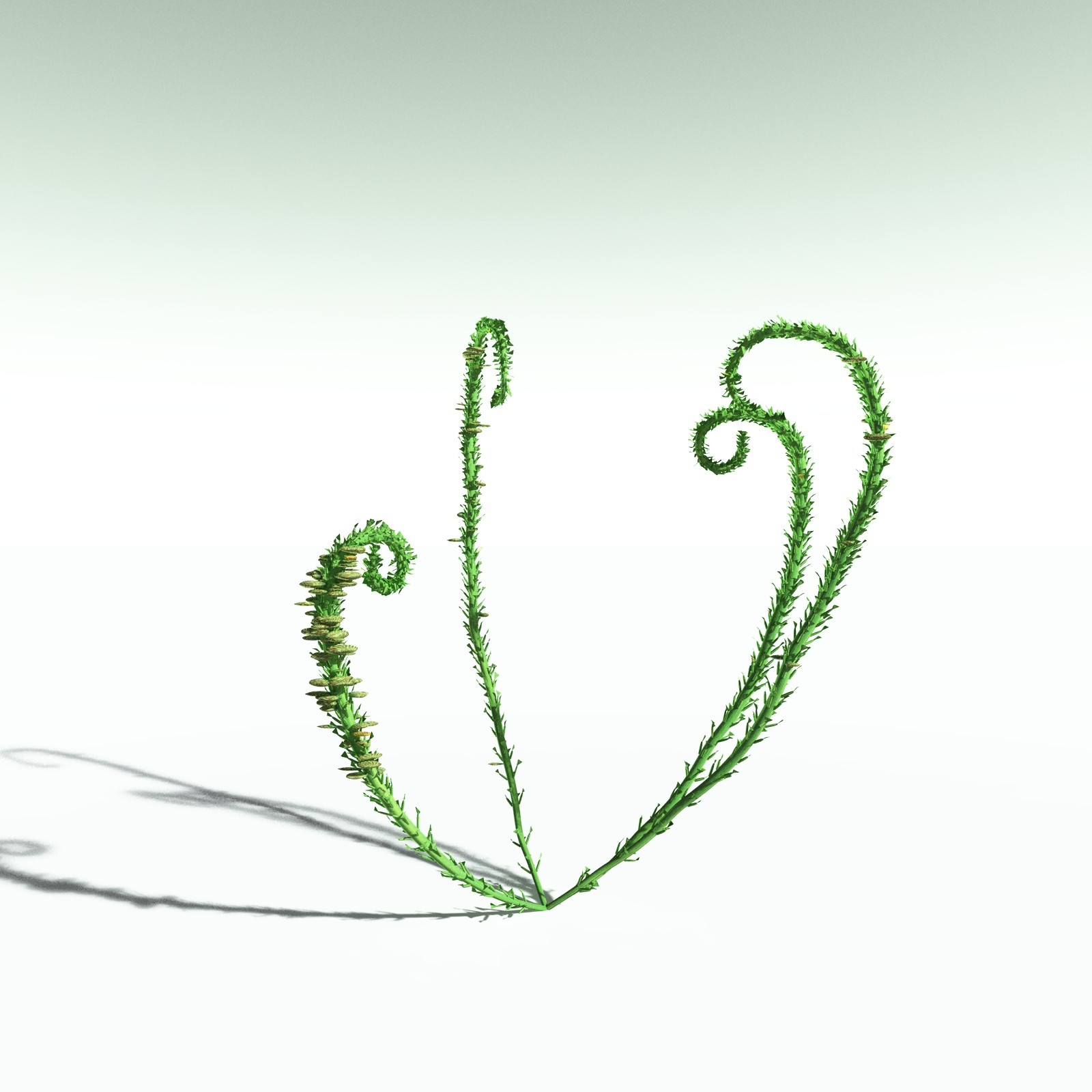 EVERYPlant Devonian Biome for Poser by N/A