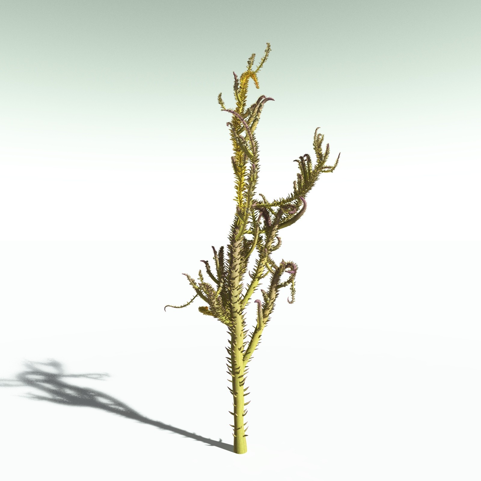 EVERYPlant Devonian Biome for Poser by N/A