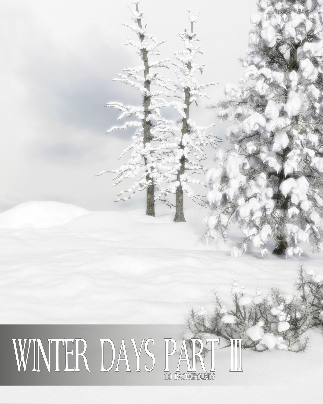Winter Days Part III by N/A