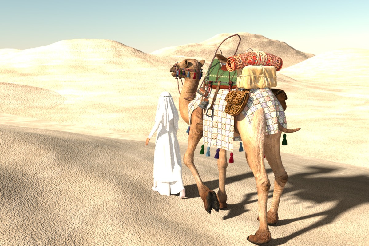 The Unexpected Oasis HDRI by N/A