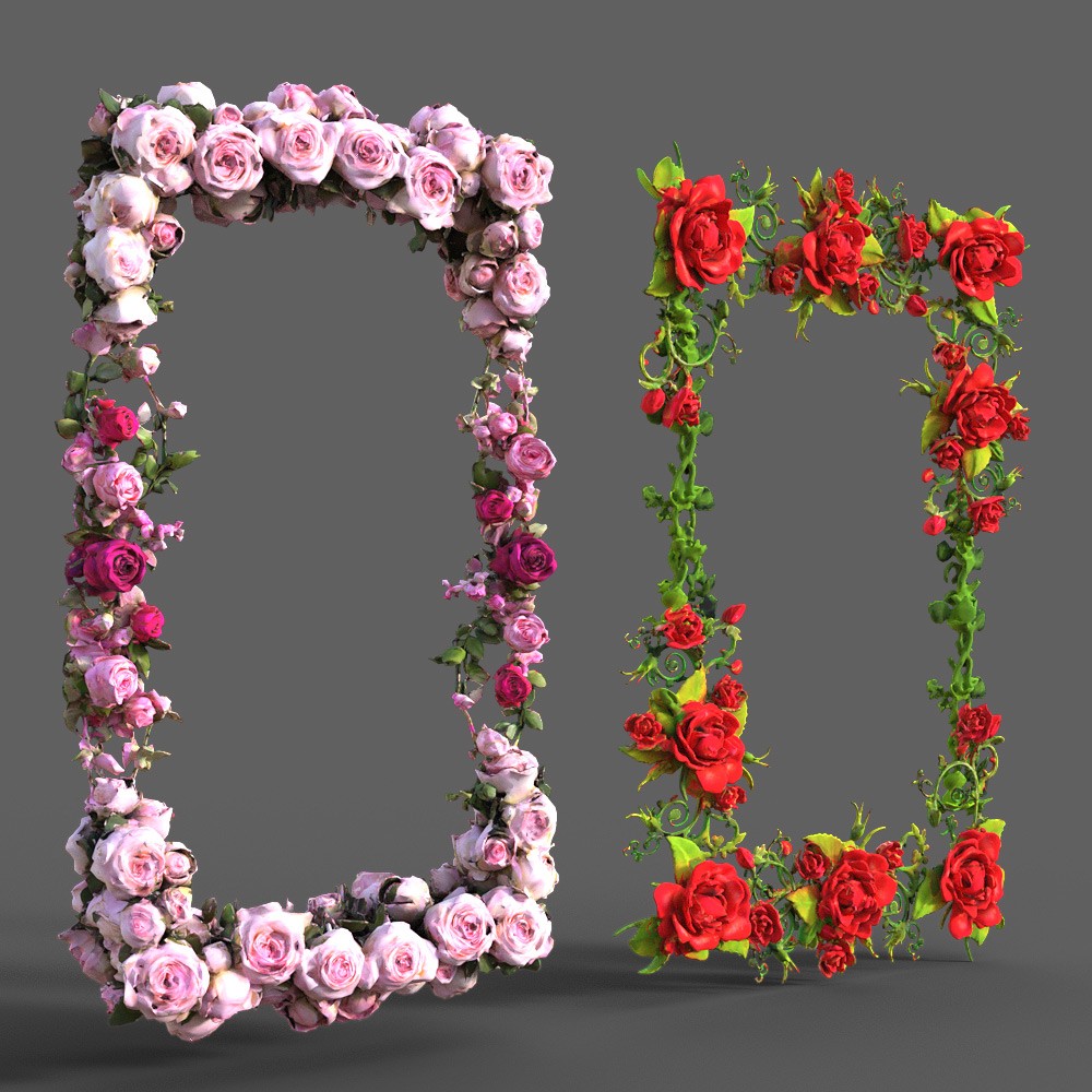 Floral Frame Construction Kit for Daz Studio by N/A