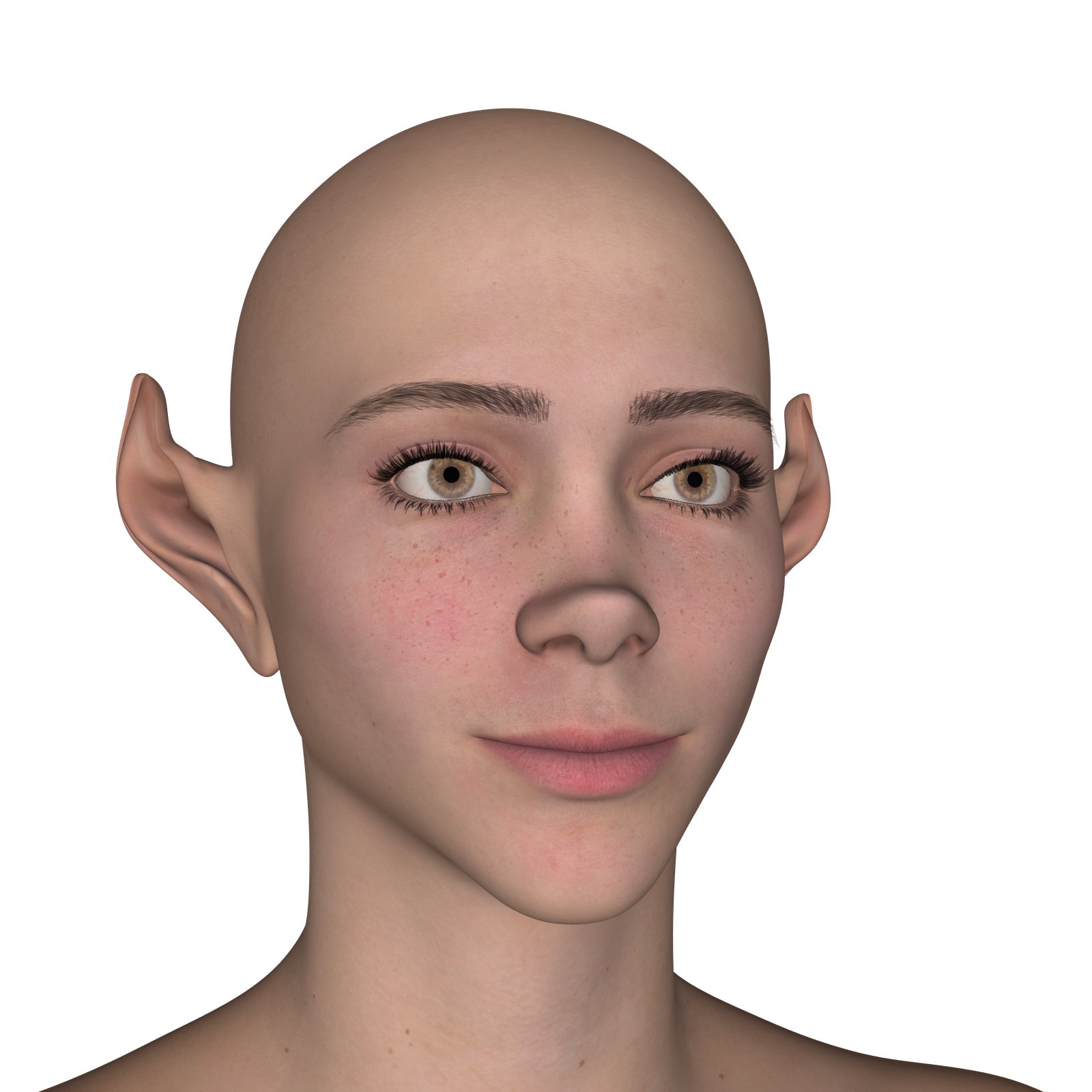 Elf Creator Bodies and Faces for Genesis 9 by N/A