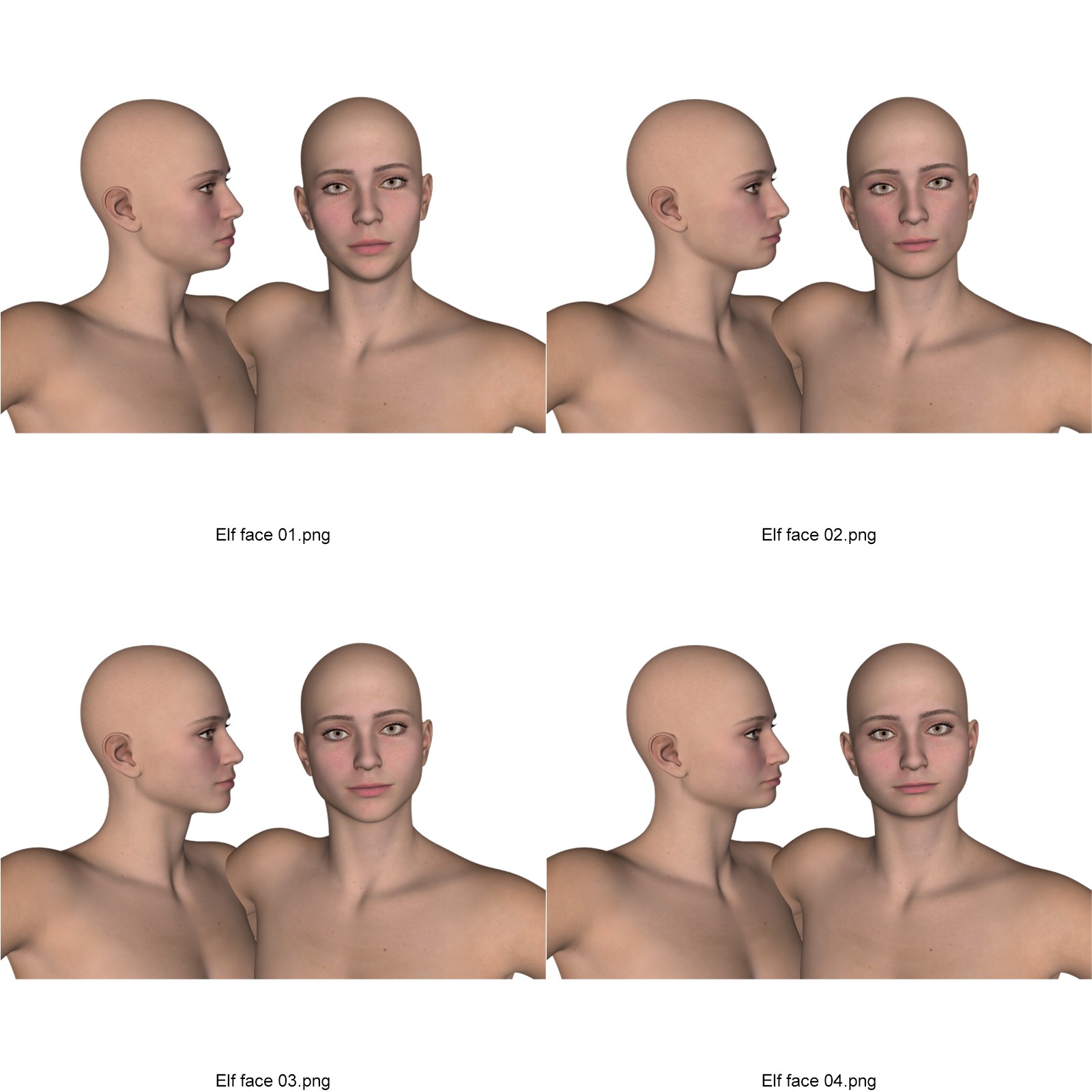 Elf Creator Bodies and Faces for Genesis 9 by N/A