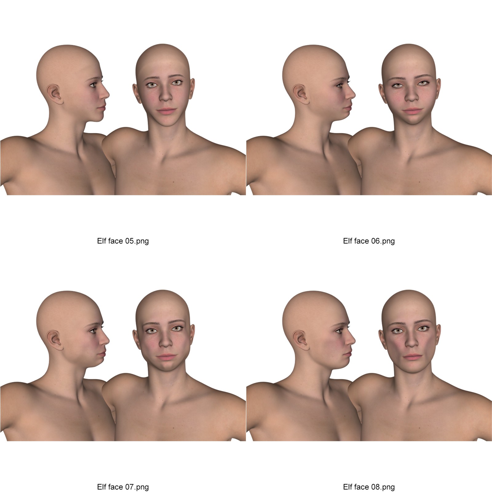 Elf Creator Bodies and Faces for Genesis 9 by N/A