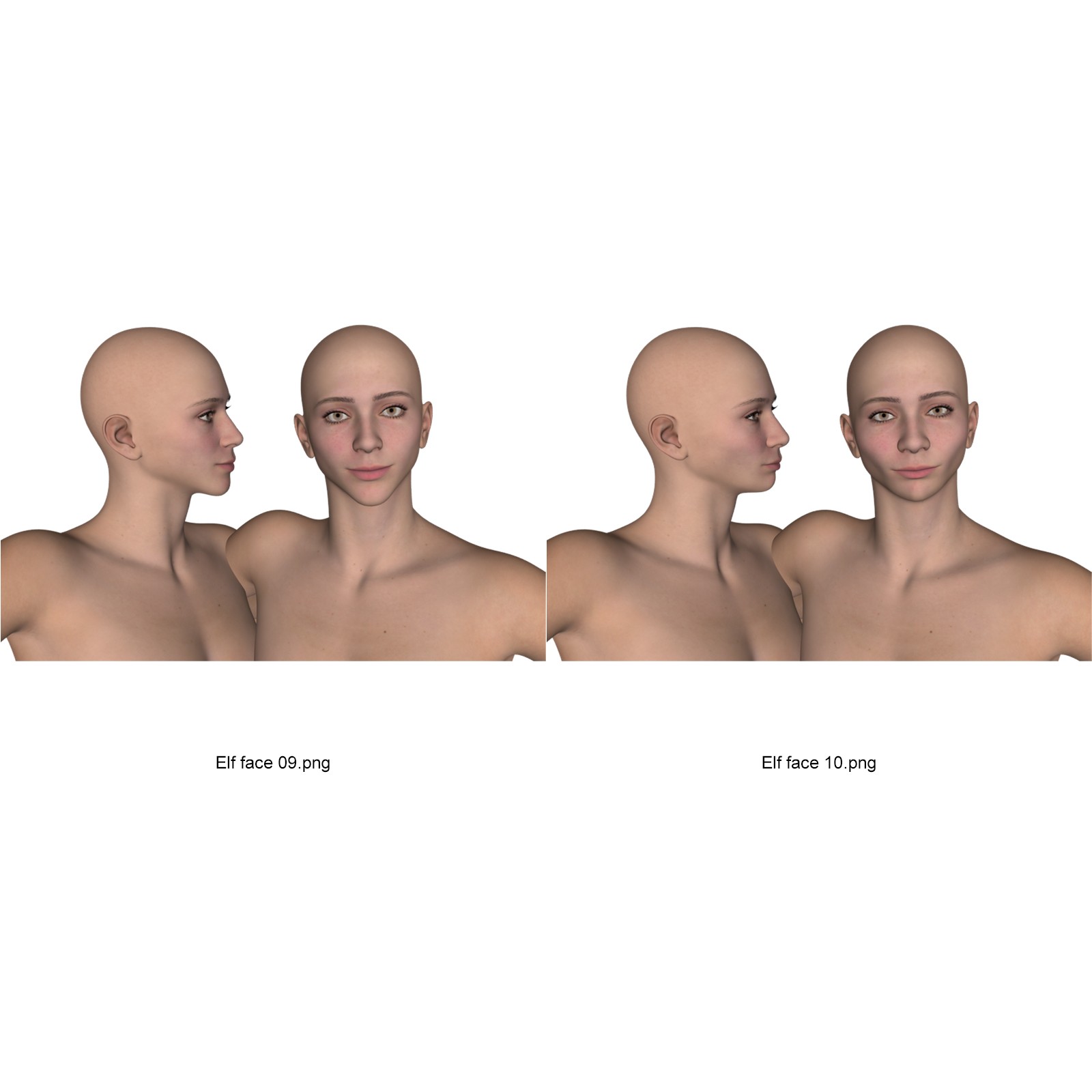 Elf Creator Bodies and Faces for Genesis 9 by N/A