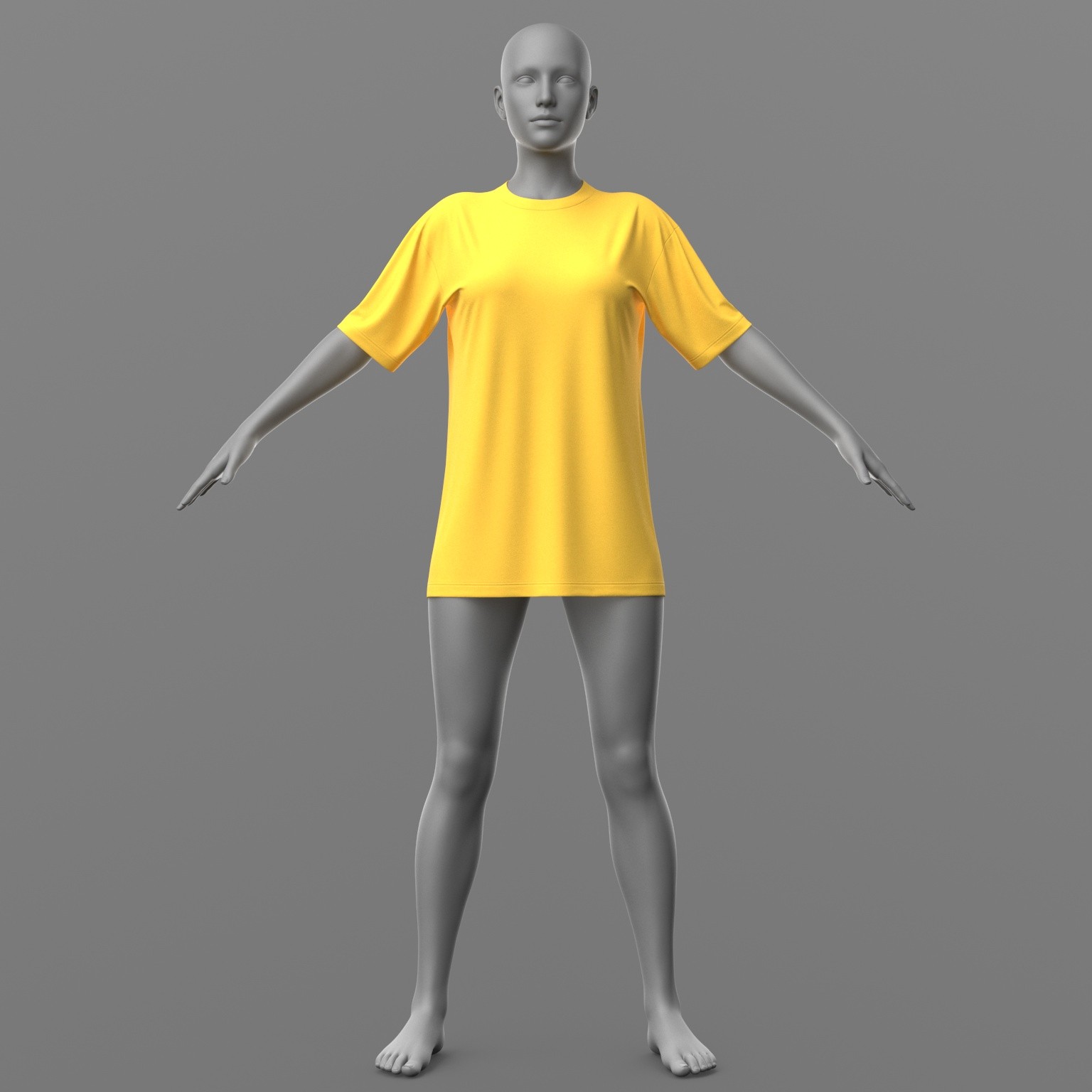 Shirt Long and Stockings G8 Female by N/A
