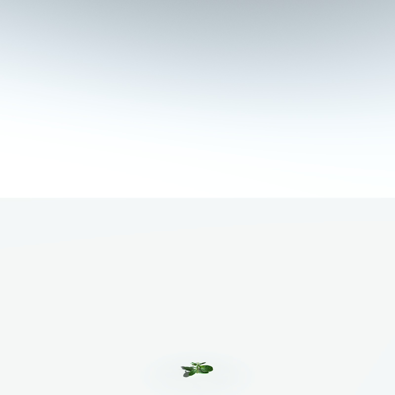 EVERYPlant Basil for Vue by N/A