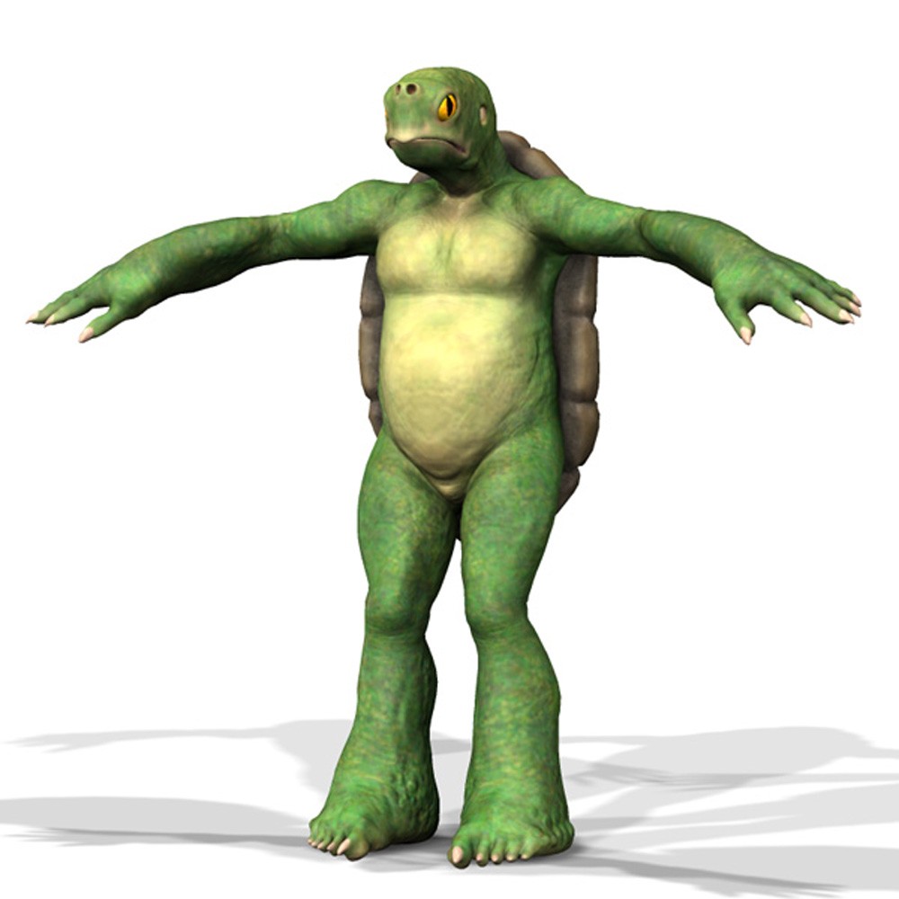 Tortle for Poser by N/A