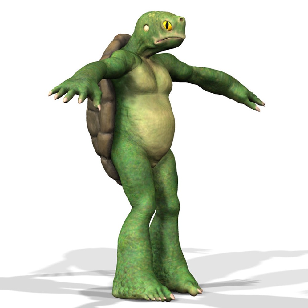 Tortle for Poser by N/A