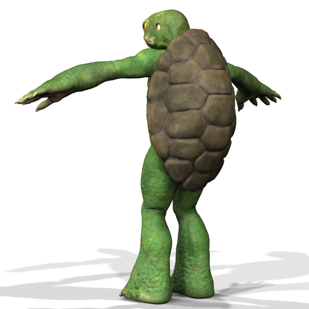 Tortle for Poser by N/A