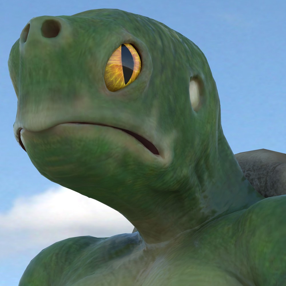 Tortle for Poser by N/A
