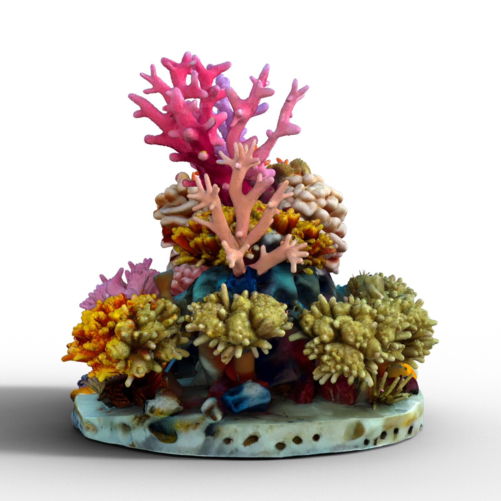 Underwater Toon Props by N/A