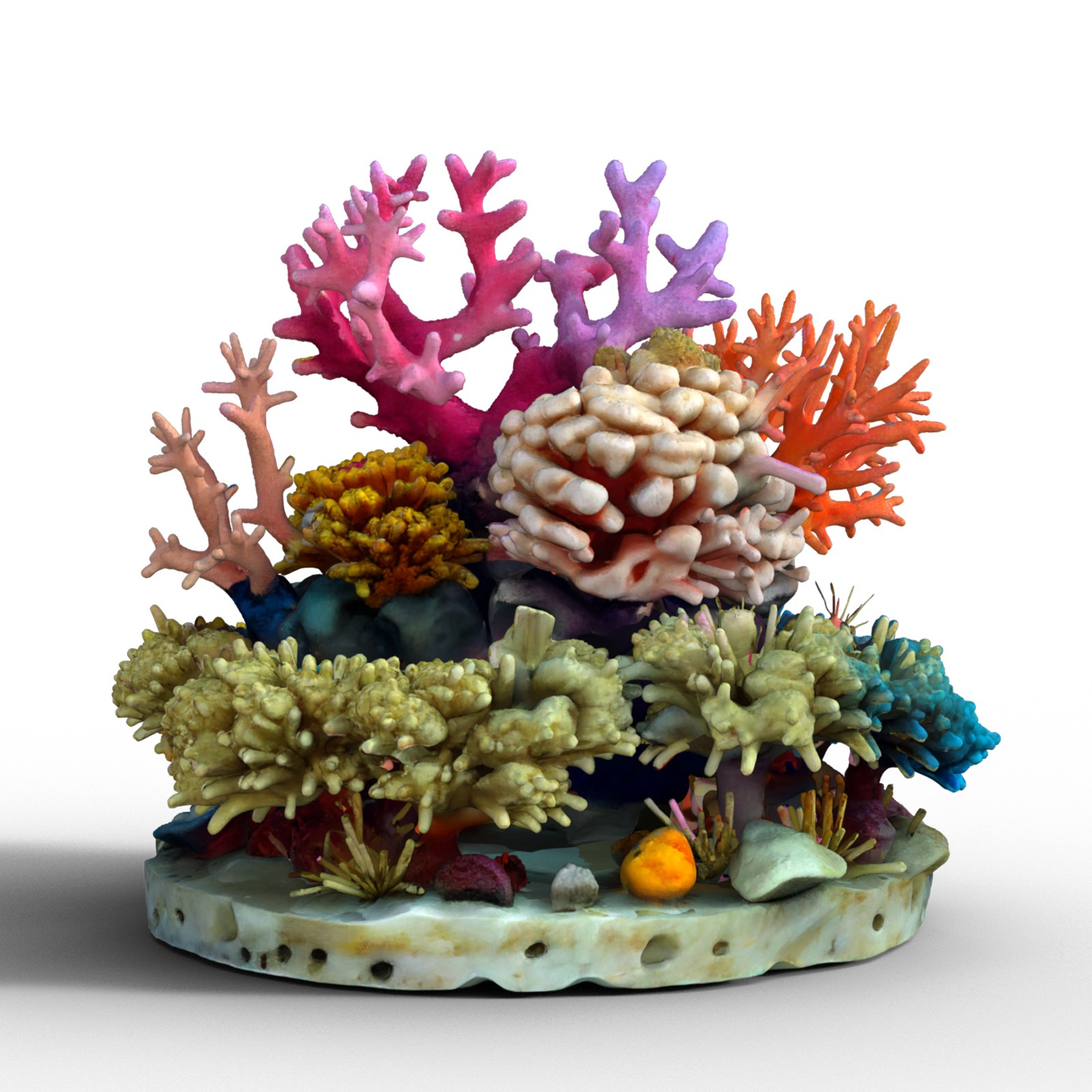 Underwater Toon Props by N/A