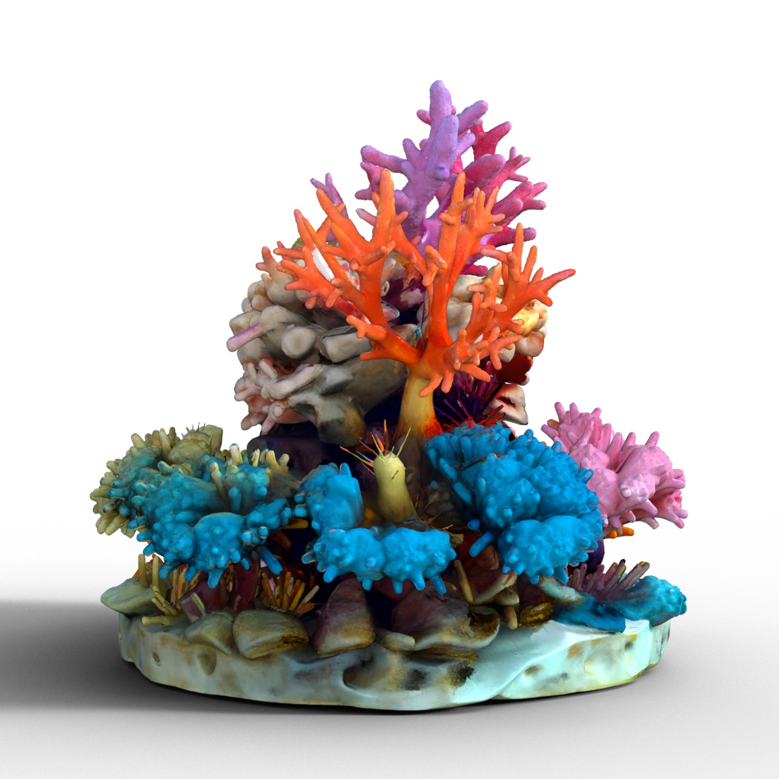 Underwater Toon Props by N/A