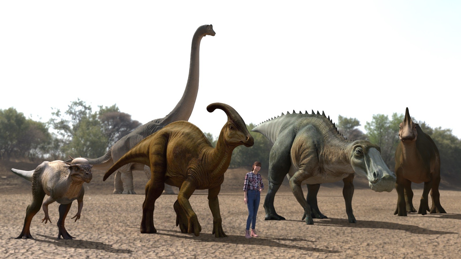 25 Dinosaur Models Collection by N/A