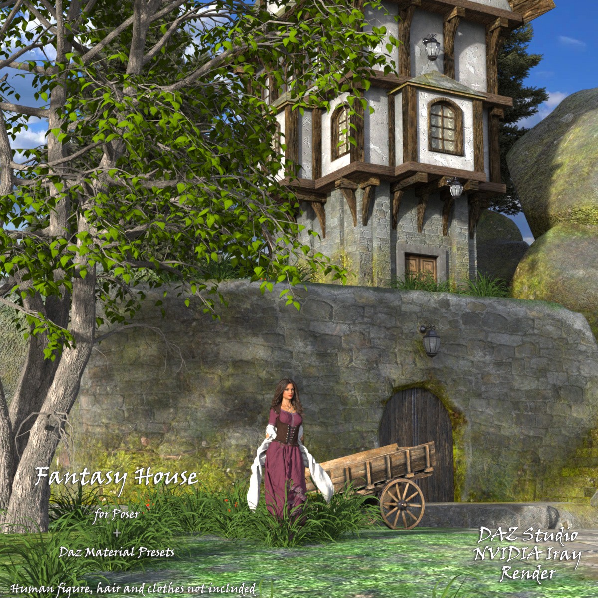 AJ Fantasy House by N/A