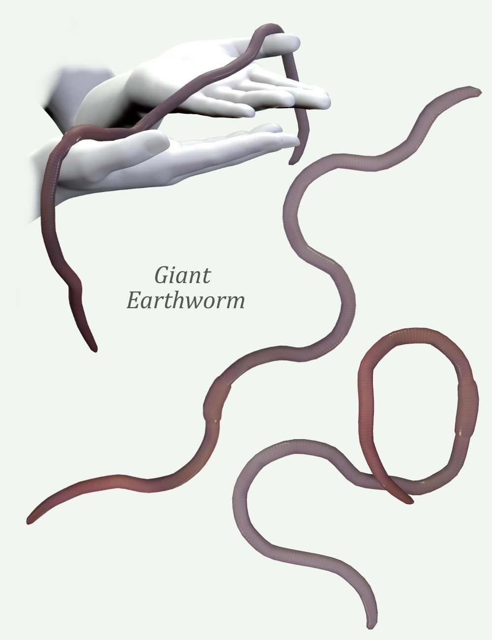 Nature's Wonders Worms & Grubs by N/A